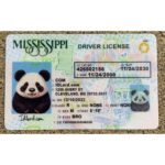 real mississippi id