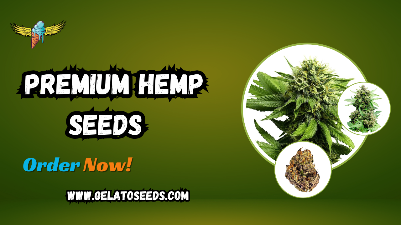 premium hemp seeds