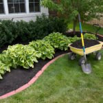 Gardening Maintenance Tips