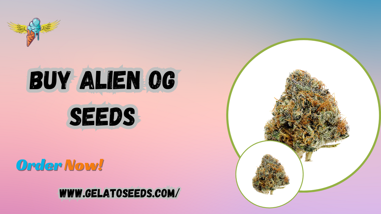 Buy Alien OG seeds