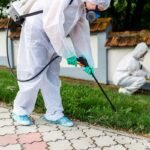 Pest Control Lahore and Pest Control Near Me